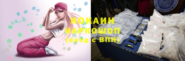 крисы Гусев