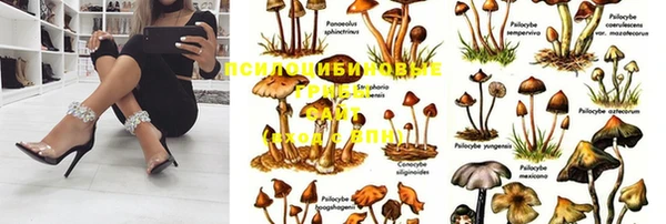 винт Осинники