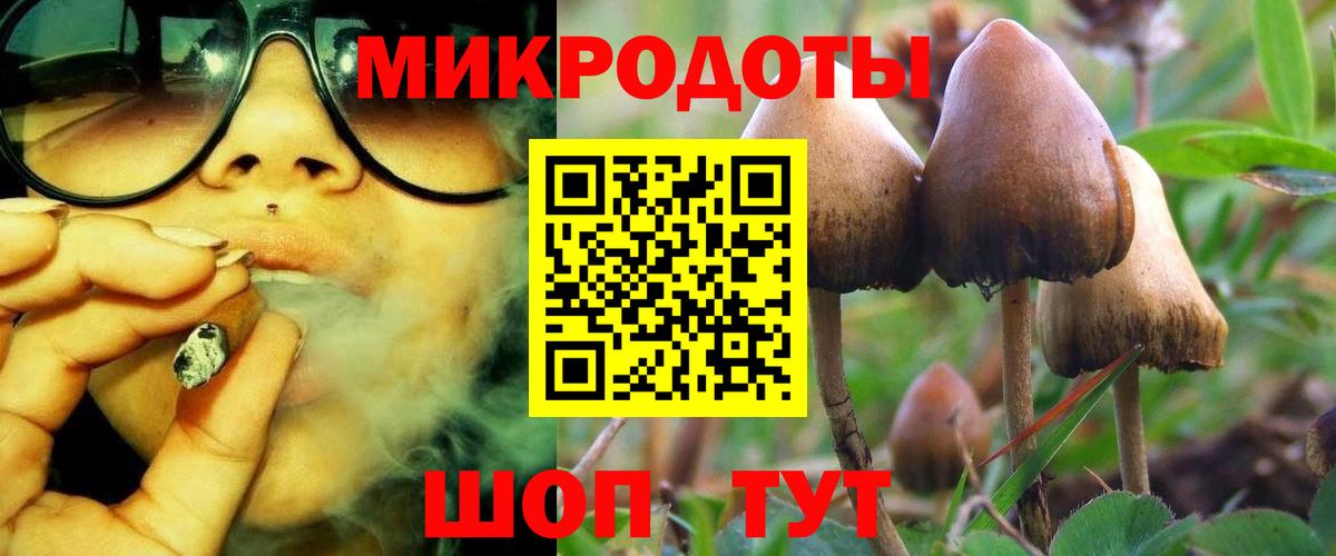 Галлюциногенные грибы прущие грибы Отрадный